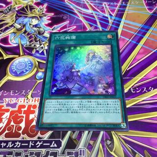 六花絢爛【SR】