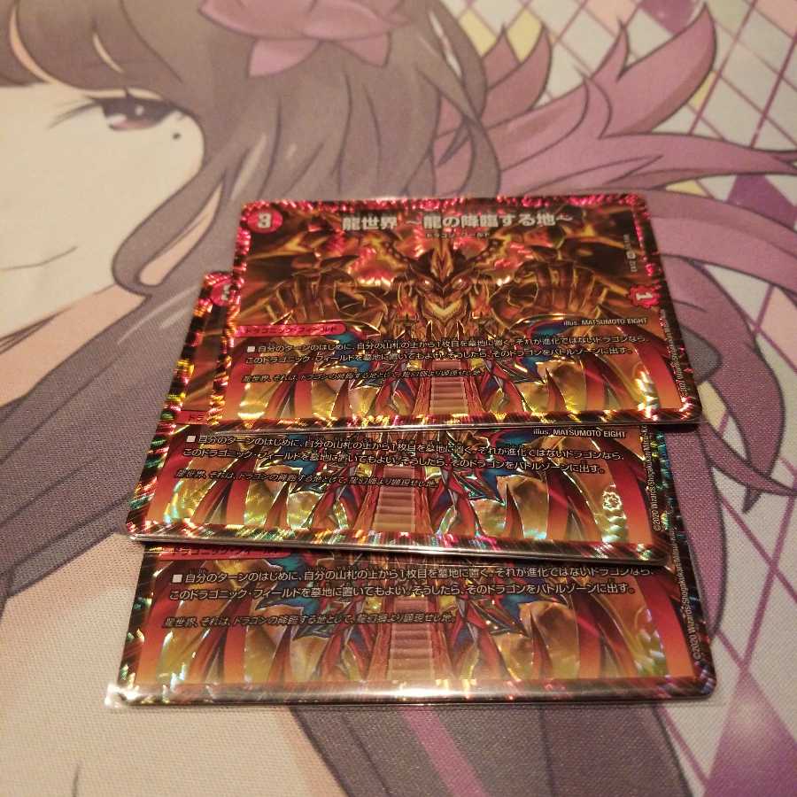 龍世界 -龍の降臨する地- VR