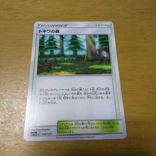 最終値下げ！最安値！トキワの森