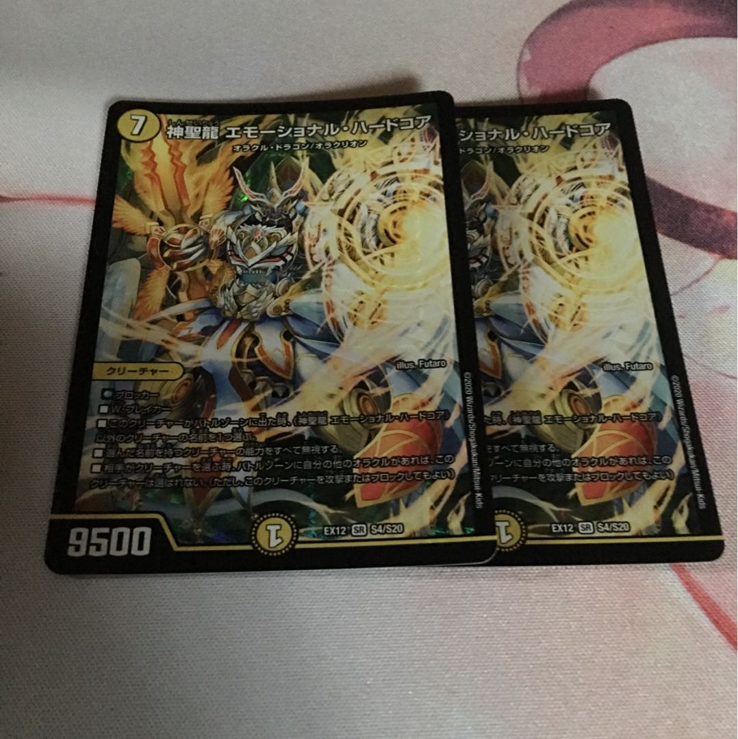 神聖龍 エモーショナル・ハードコア