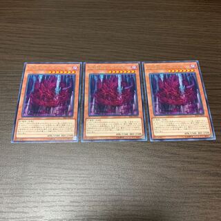 天威龍-ヴィシュダ レア　3枚セット