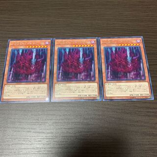 天威龍-ヴィシュダ レア　3枚セット