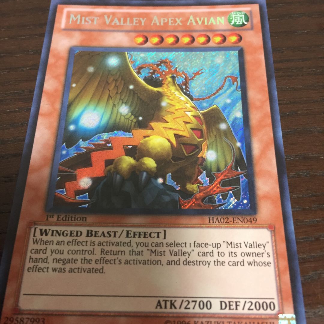 霞の谷の巨神鳥