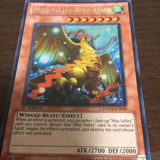 霞の谷の巨神鳥