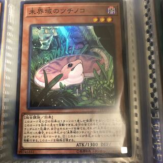 未界域のツチノコ スーパーレア