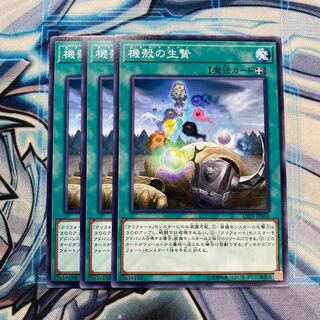 機殻の生贄 ノーマル