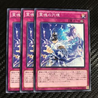 Shinobird Salvation Normal