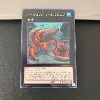 バージェストマ・オパビニア レア