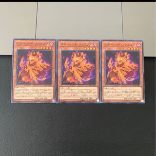 スカーレッド・ファミリア ノーマル