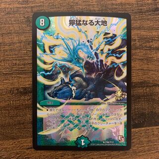 獰猛なる大地 R-foil