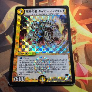 真実の名 タイガー・レジェンド