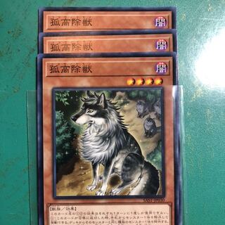 孤高除獣　3枚