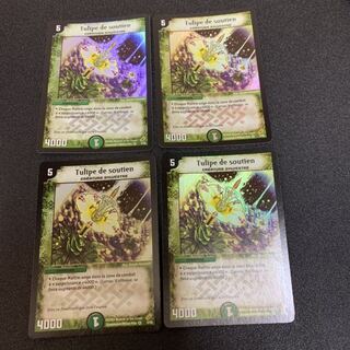 応援チューリップ フランス語