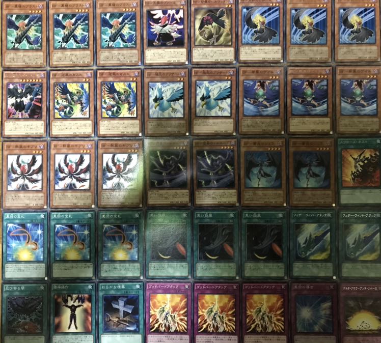 超特価 BFデッキ ブラックフェザー 40枚+EX15枚 王神鳥シムルグ