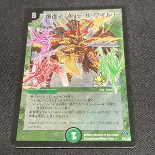 爆進イントゥ・ザ・ワイルド(H.C)