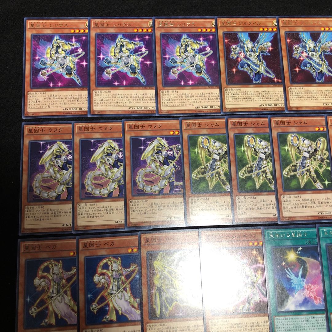 遊戯王 No.306 星因士 デッキ 40枚＋15枚 テラナイト セイクリッド