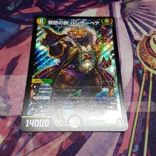 我怒の鎖 パンサーベア SR