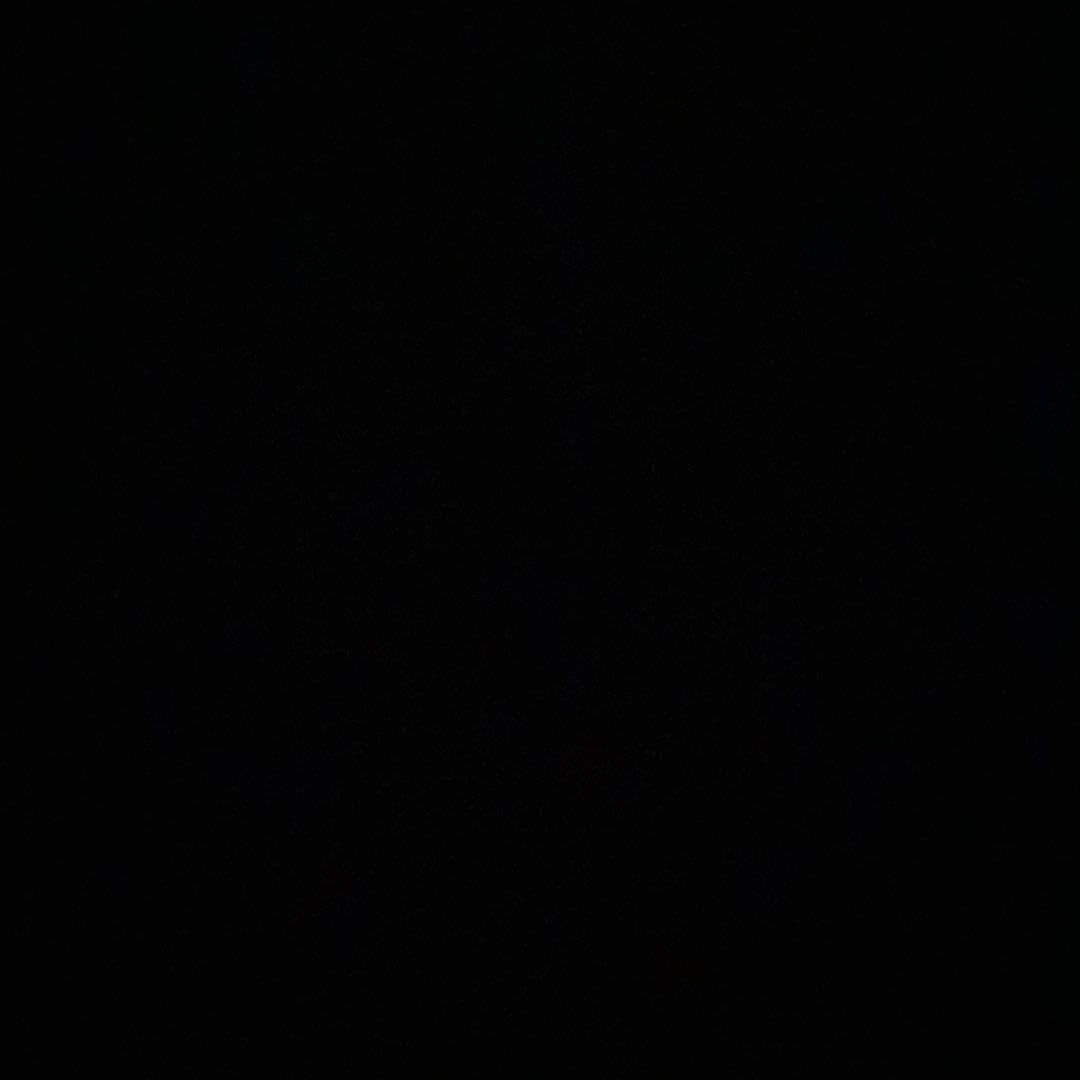 [トマトさん専用] リーフィアGX SR