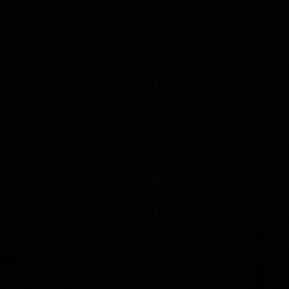 [トマトさん専用] リーフィアGX SR