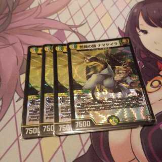 荒舞の鎖 ナマケイラ VR