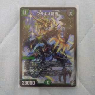 最安値 ブラキオ龍樹