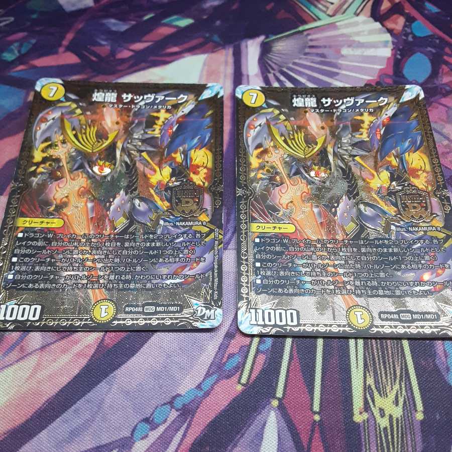 煌龍 サッヴァーク