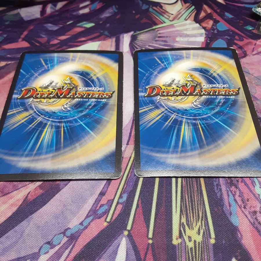 煌龍 サッヴァーク