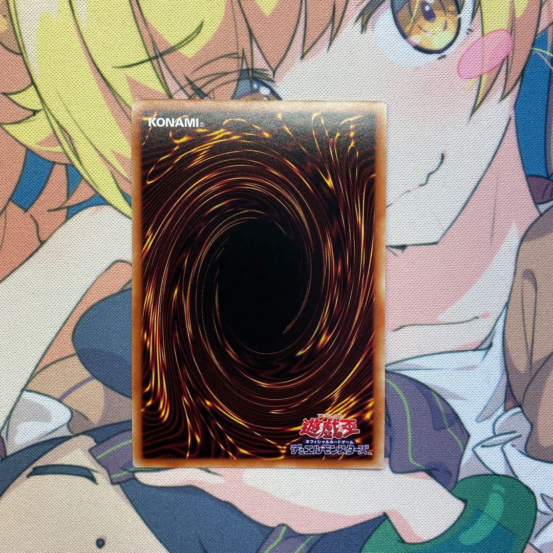 教導の騎士フルルドリス