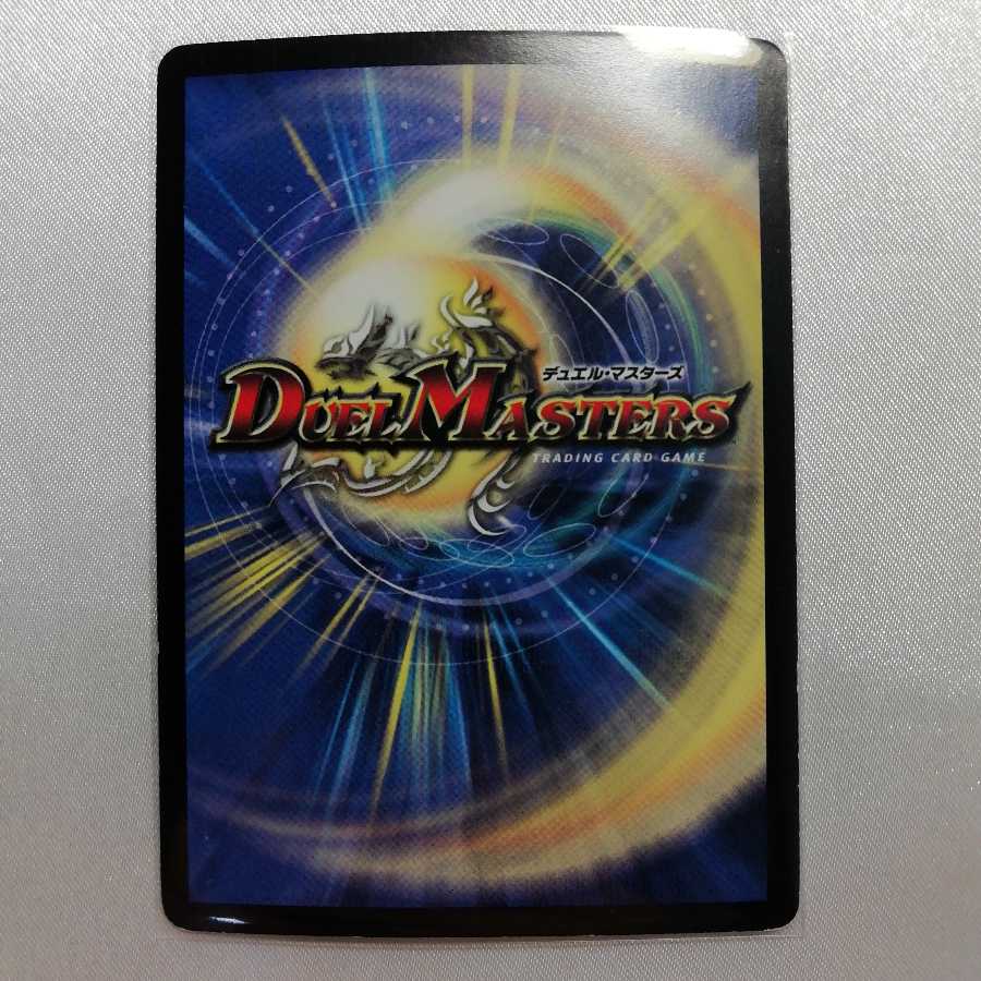 超次元ガード・ホール(通常) R