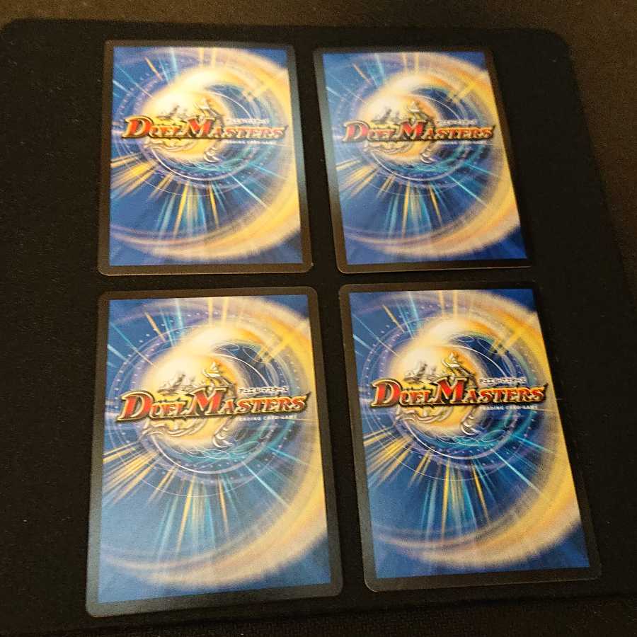 大革命のD ワイルド・サファリ・チャンネル [316]