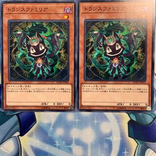 【N】トランスファミリア 2枚 FLOD-JP029