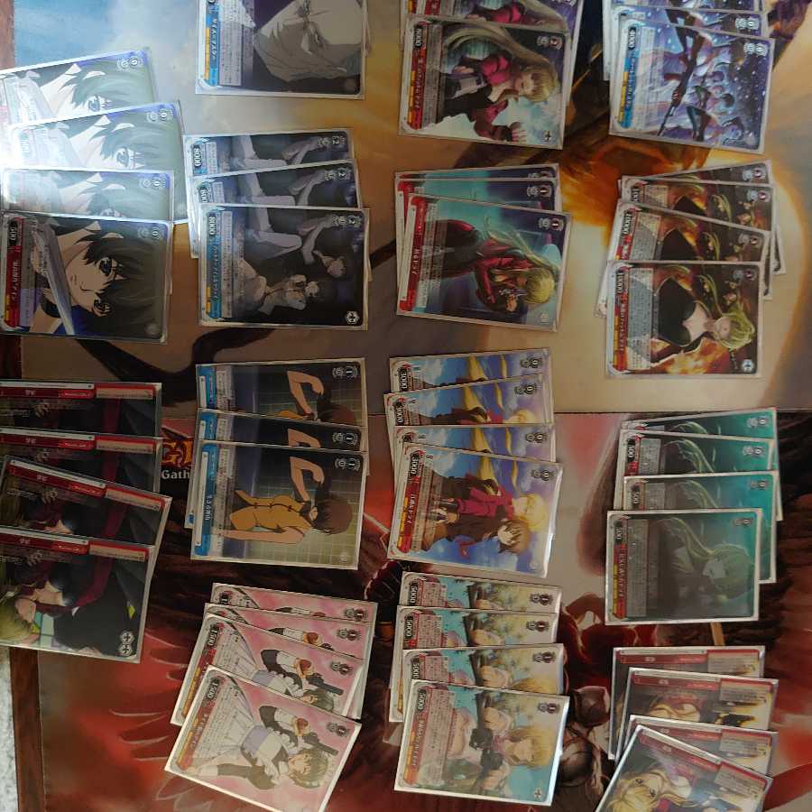 ヴァイスシュヴァルツ処分