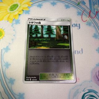 トキワの森 ミラー