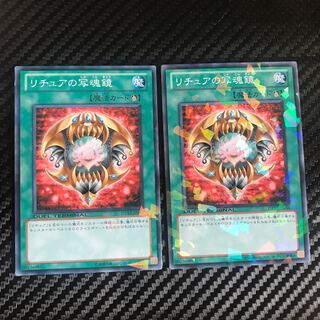 Gishki Photomirror Normal