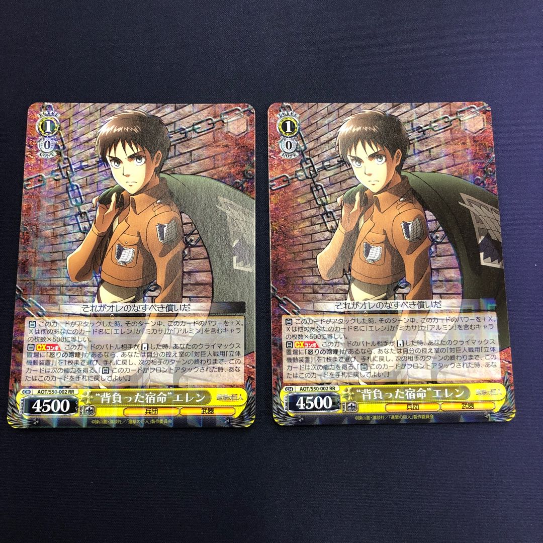 "背負った宿命" エレン 2枚