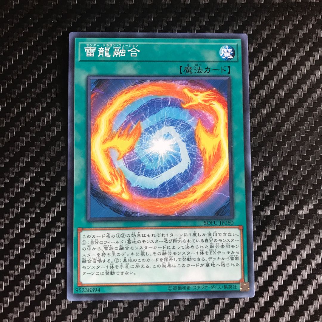 雷龍融合 ノーマル