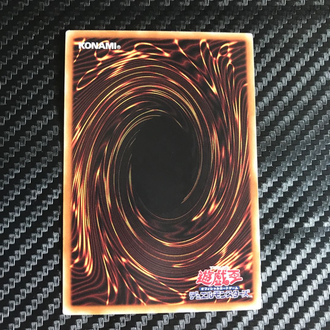 雷龍融合 ノーマル