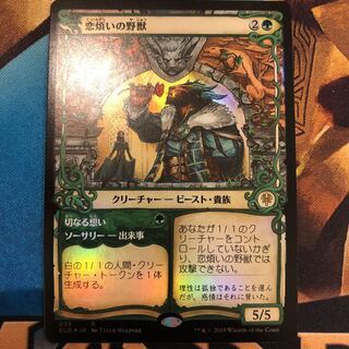 MTG  ELD 恋煩いの野獣 日本語 foil ショーケース