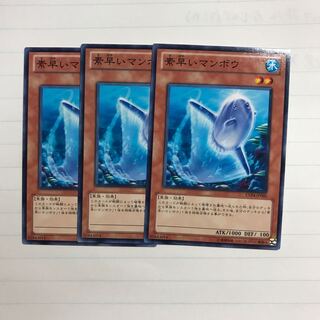 素早いマンボウ