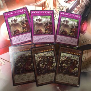 戦華セット(戦華の叛-呂奉)