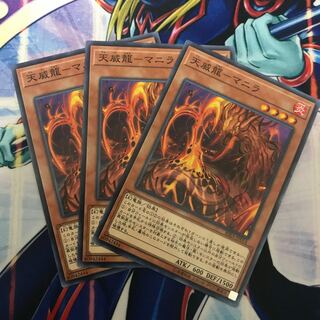 【AQUA】天威龍-マニラ