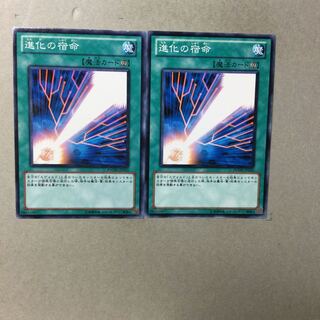 進化の宿命　２枚