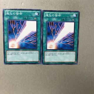 進化の宿命　２枚