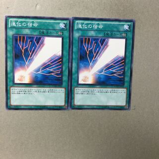 進化の宿命　２枚