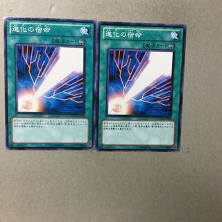 進化の宿命　２枚