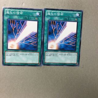 進化の宿命　２枚