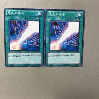 進化の宿命　２枚