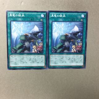 真竜の継承　２枚