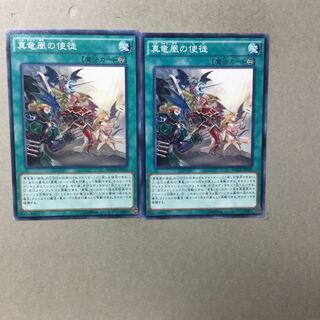 真竜凰の使徒　２枚