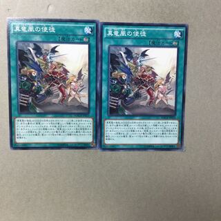 真竜凰の使徒　２枚